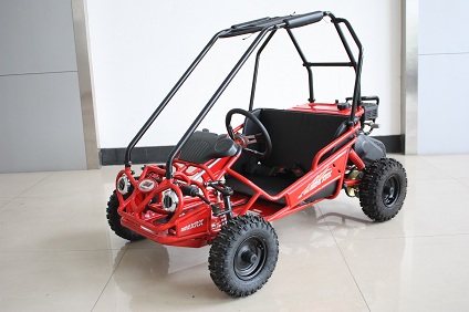 mini xrx left front.jpg